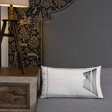 Load image into Gallery viewer, Logistic Map Premium Pillow