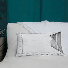 Load image into Gallery viewer, Logistic Map Premium Pillow