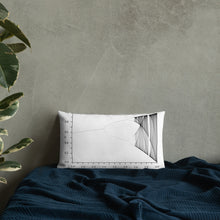 Load image into Gallery viewer, Logistic Map Premium Pillow