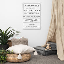 Load image into Gallery viewer, Newton Canvas