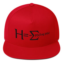 Load image into Gallery viewer, Shannon Embroidered Flat Bill Cap