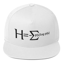 Load image into Gallery viewer, Shannon Embroidered Flat Bill Cap