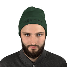 Load image into Gallery viewer, Schrödinger Embroidered Beanie