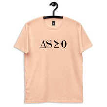 Load image into Gallery viewer, Second Law of Thermodynamics - men's staple tee