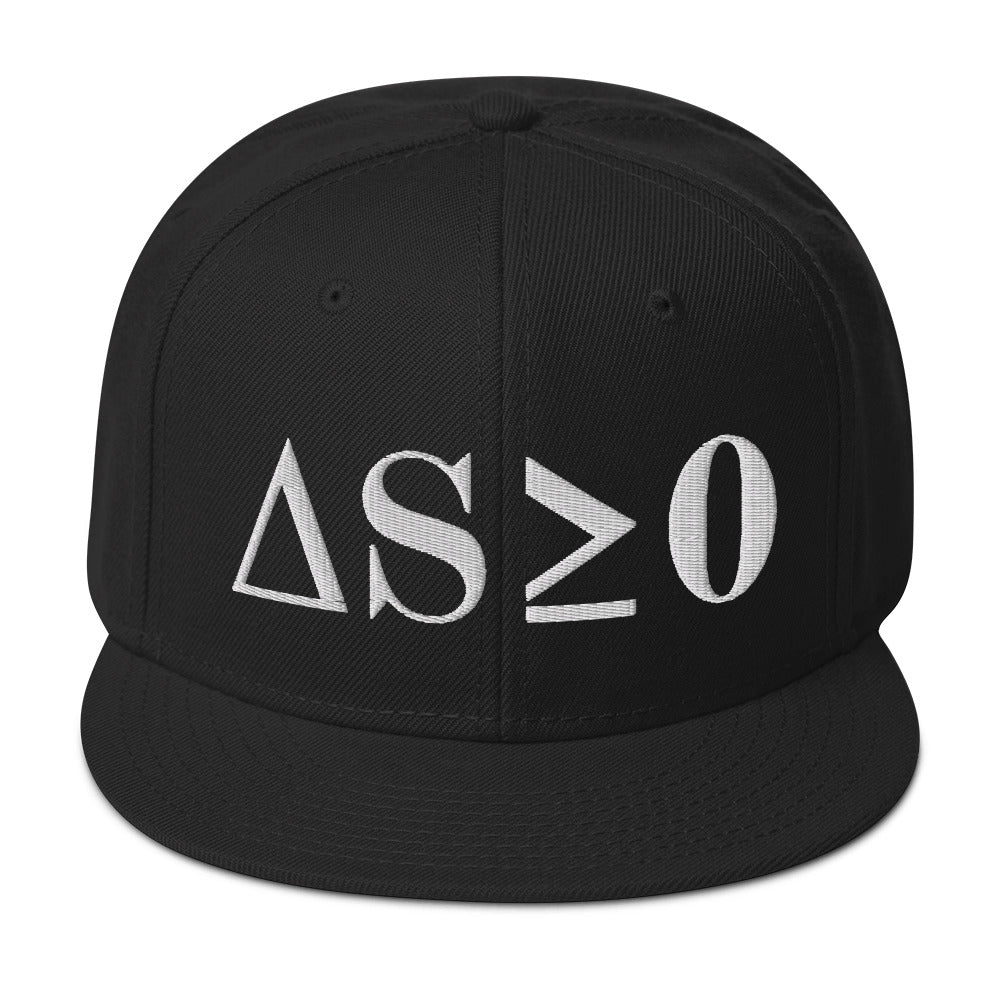 Second Law Snapback Hat