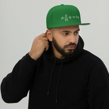 Load image into Gallery viewer, Schrödinger Embroidered Snapback Hat