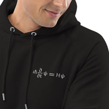 Load image into Gallery viewer, Schrödinger Embroidered Unisex Pullover Hoodie