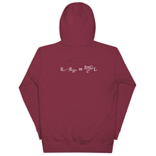 Load image into Gallery viewer, Einstein Hoodie