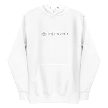 Load image into Gallery viewer, Navier-Stokes Unisex Hoodie