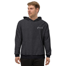 Load image into Gallery viewer, Euler's Identity Sueded Fleece Hoodie