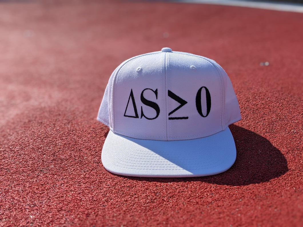 The Second Law of Thermodynamics Snapback Hat