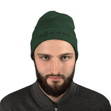 Load image into Gallery viewer, Schrödinger Embroidered  Beanie
