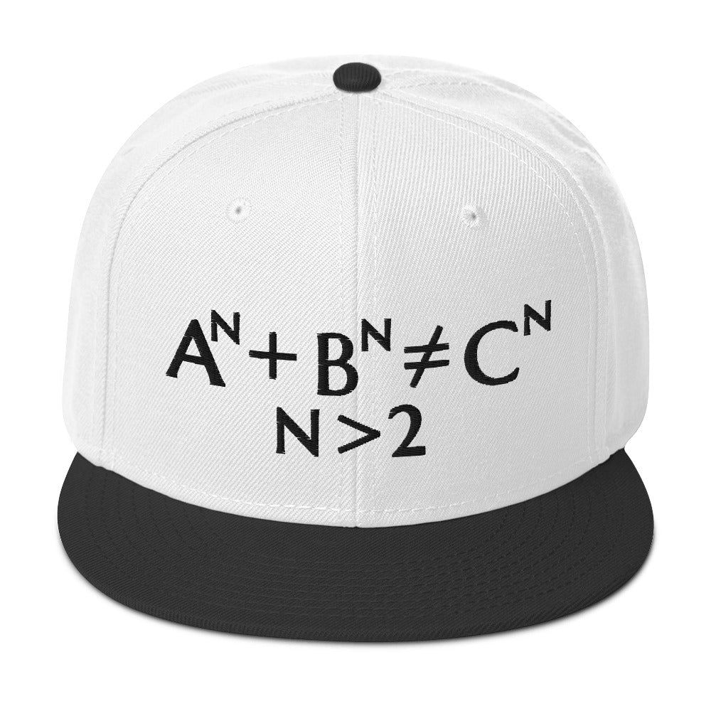 Fermat Embroidered Snapback Hat