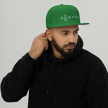 Load image into Gallery viewer, Schrödinger Embroidered Snapback Hat
