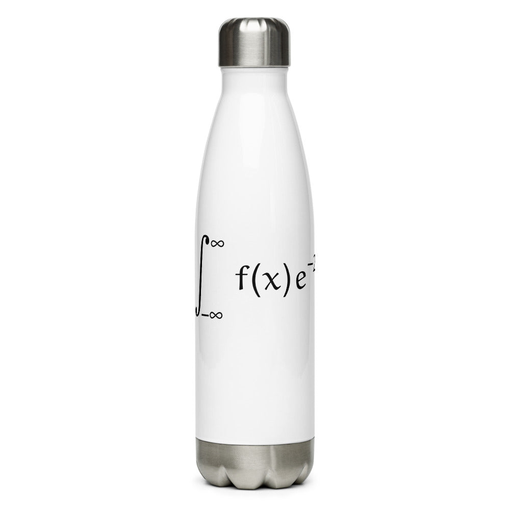 Fourier Stainless Steel Water Bottle